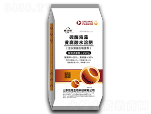2億碳酶海藻黃腐酸水溶肥-地煌生物