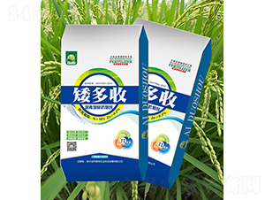 矮多收-庚申農業