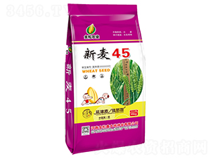 新麥45-小麥種子-金粒農業