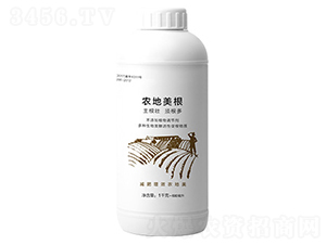 1kg農地美根-農地美