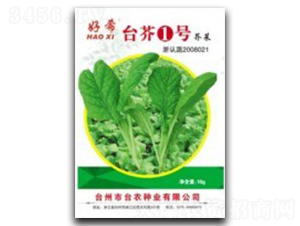 臺芥1號-芥菜種子-臺州農資