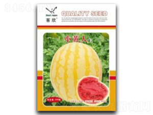 СS-ϷN-_rY