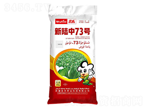 10kg73̖-޻N-ʥSNI