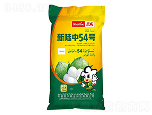 25kg54̖-޻N-ʥSNI