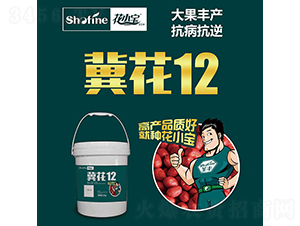 12-N-ʥSNI