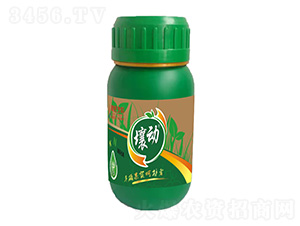 160mlҺwጷ350-0-20-ļB