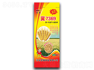 С7369-СN-NI
