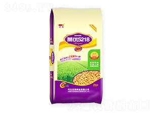 ޻5218-СN-NI