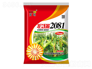 2081t-׷N-NI