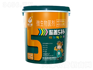 微生物菌劑-螯蓋5補-根力多