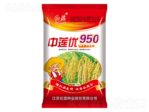 ɏ950-ˮN-tNI