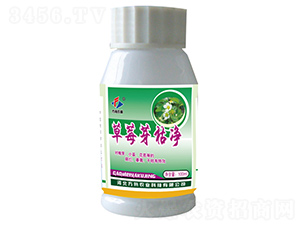 草莓芽枯凈-方舟農業