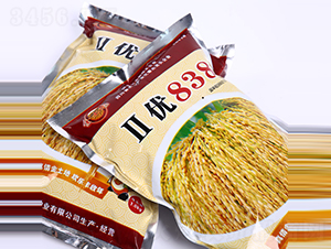 838-ˮN-