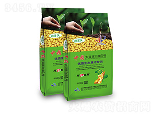 中藥·大豆蛋白菌1號(hào)-歐菌集團(tuán)