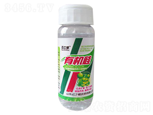 有機硅（瓶）-百士威