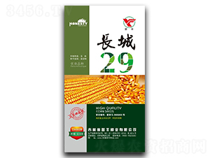 長城29-玉米種子-譽豐種業