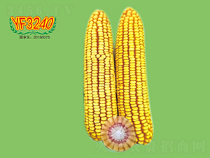 YF3240-׷N-طNI