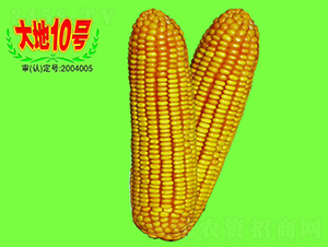 10̖-׷N-طNI