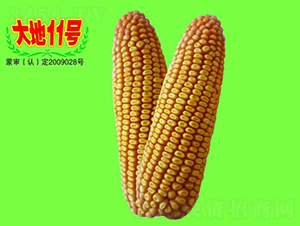 11̖-׷N-طNI