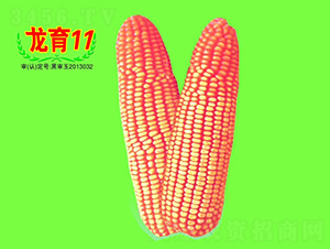 11̖-׷N-طNI