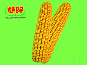 8̖-׷N-طNI