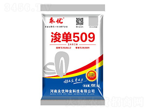 浚單509（4500粒）-玉米種子-永優種業