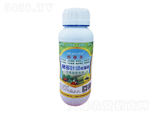 根多葉綠能量液（瓜果蔬菜專用）-蚓菌多-農沃綠