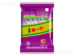 永優新一代浚單3136玉米種子-永優種業