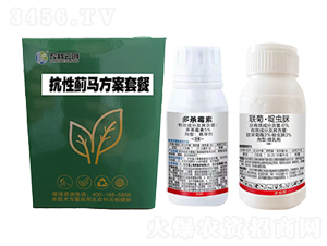 專殺各種薊馬—擎得住-農科云創(chuàng)