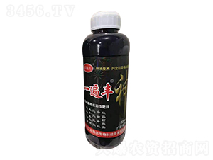 一遍豐含腐植酸水溶肥料-荘施美生物