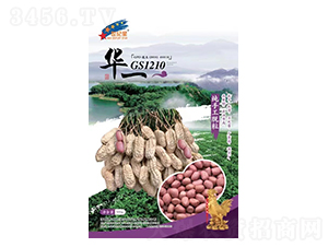 GS1210-N-AһNI