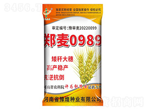 СN-0989-ԥrI
