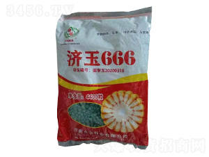 濟(jì)玉666-玉米種子-研創(chuàng)種業(yè)