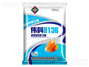 偉科9136-玉米種子-研創種業
