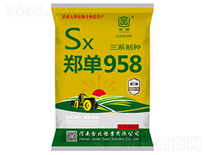 958-sN-𱱷NI