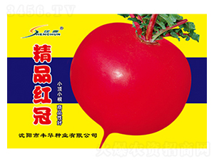 Ʒt-}N-SANI