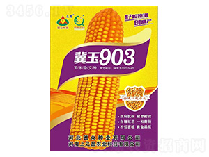 玉米種子-冀玉903-上之品農業
