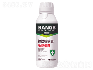 鋅肽抗病毒免疫蛋白-邦保肥業