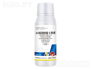 24-表蕓苔素內(nèi)酯·S-誘抗素可溶液劑100g-及時創(chuàng)·雨狀元-及時雨