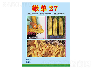 ׷N-ۆ27-rI