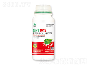高端茶葉營養活力素-催芽先鋒-宇東植康-圣金肥業