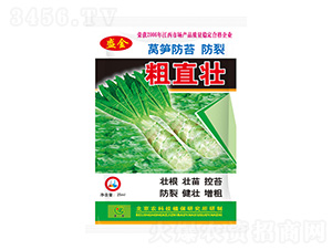 萵筍防苔防裂粗直壯-盛金-圣金肥業