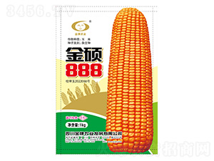 玉米種子-金碩888-金牌農業