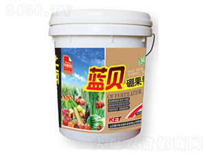 藍貝硼果鈣-康爾特