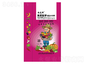 黃腐酸鉀顆粒水溶肥-億輝達(dá)