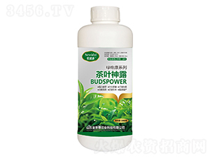 茶葉神露-農愛多-金世泰