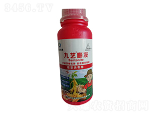 九藝膨友地下專用-九藝綠洲