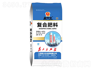 復合肥料28-6-6-釋大壯