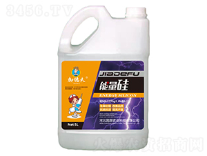 能量硅-加德夫-晁群農業