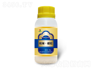 ،-i顤-irI